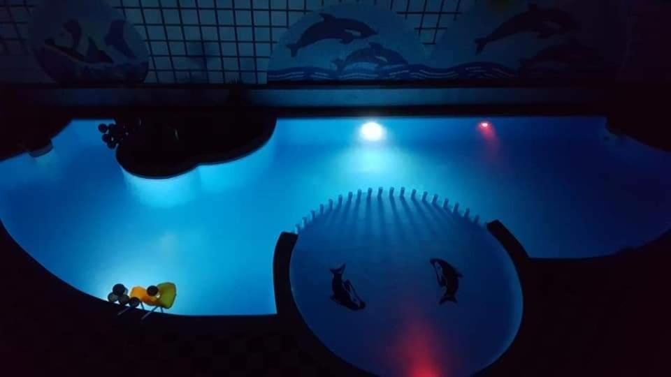 Apartman Eva Hurghada Exteriör bild